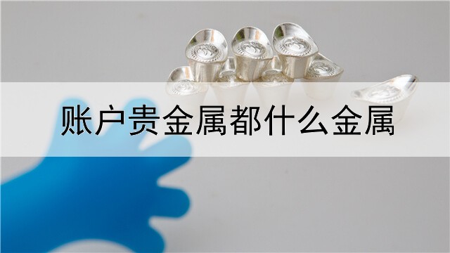 账户贵金属都什么金属