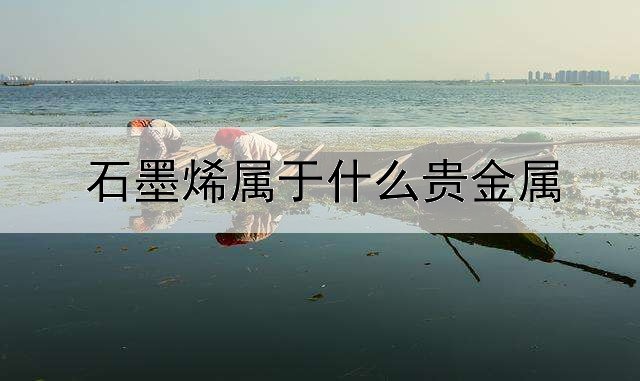 石墨烯属于什么贵金属
