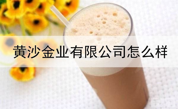 黄沙金业有限公司怎么样