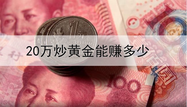 20万炒黄金能赚多少