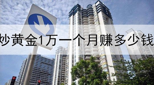 炒黄金1万一个月赚多少钱