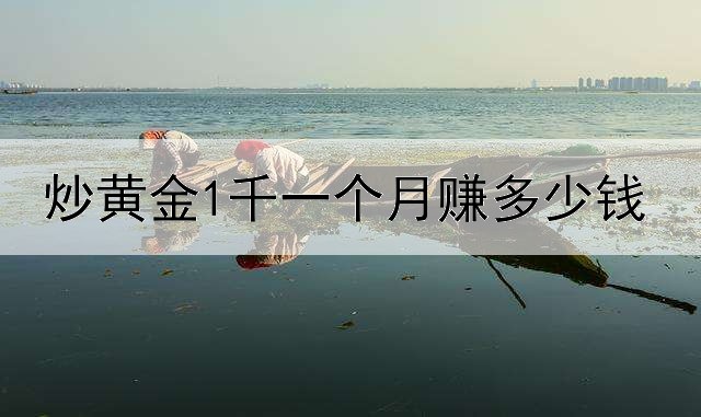 炒黄金1千一个月赚多少钱