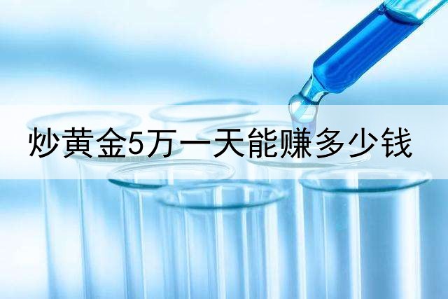 炒黄金5万一天能赚多少钱