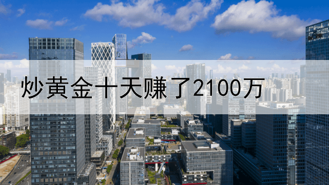 炒黄金十天赚了2100万