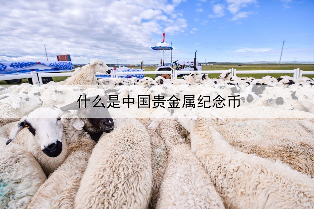 什么是中国贵金属纪念币