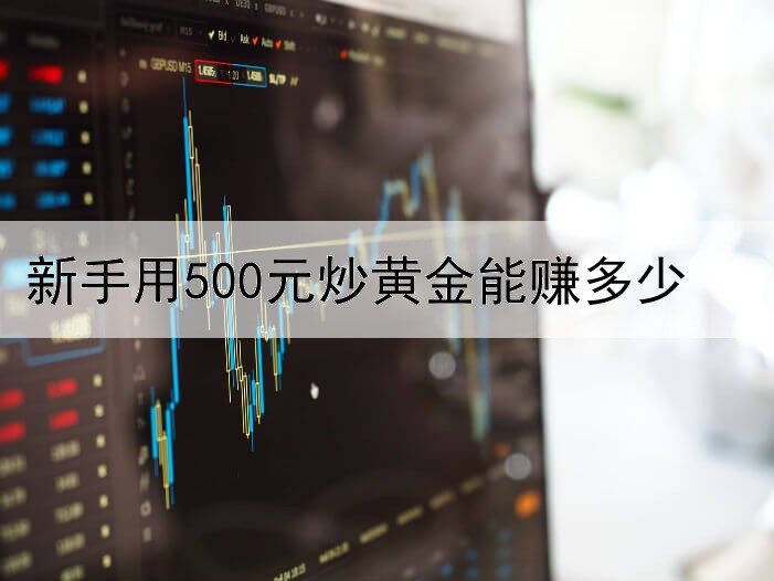 新手用500元炒黄金能赚多少