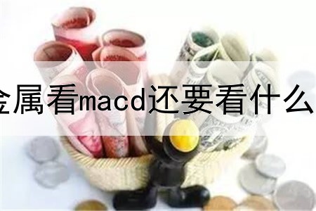 贵金属看macd还要看什么