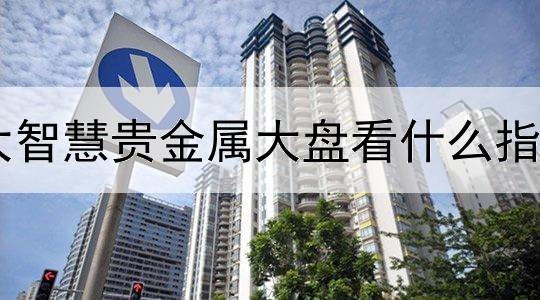 大智慧贵金属大盘看什么指标